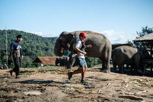 BIB: 
                            <button type="button" onclick="openModal(22422959)" class="btn btn-primary btn-sm float-right btn-popup" data-toggle="modal" data-target=".modal-high-quality">
                        <i class="fas fa-shopping-cart"></i> Add to Cart
                    </button>
                                            <button type="button" onclick="isThisMe(22422959, true)" class="btn btn-success btn-sm float-right btn-popup btn-isme hidden" data-toggle="tooltip" data-placement="bottom" title="นี่คือรูปของคุณใช่ไหม คลิกที่นี่เพื่อเอาเข้าอัลบั้ม">
                        <i class="fas fa-plus"></i> Add to album
                    </button>
                    <button type="button" onclick="isThisMe(22422959, false)" class="btn btn-warning btn-sm float-right btn-popup btn-isnotme hidden">
                        <i class="fas fa-ban"></i> Remove from album
                    </button>